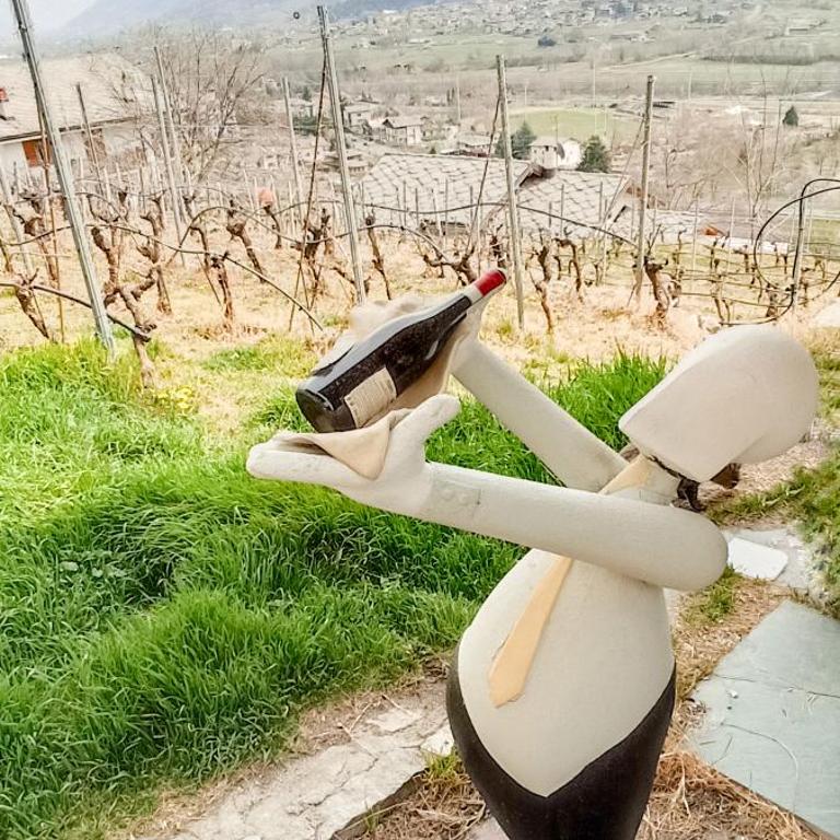 Casa Alpina - Sarre - Appartamento - Piano Terra - 31