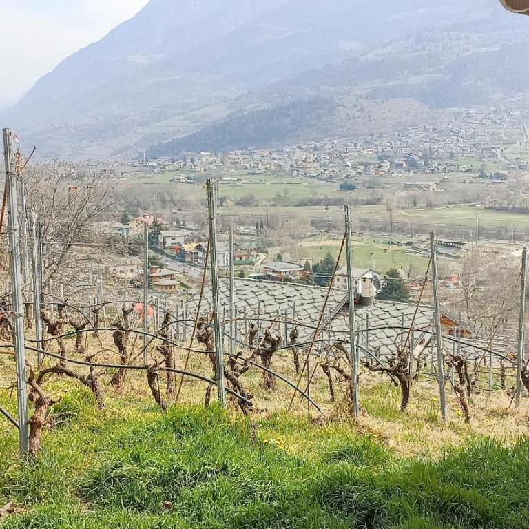 Casa Alpina - Sarre - Appartamento Attico - 16