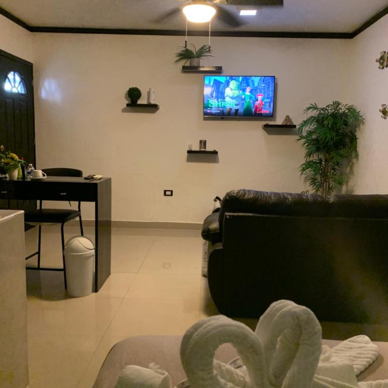 Casa Mar - One-Bedroom Apartment - 22