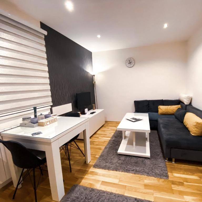 Stan na dan Nina - Pale Centar - Standard Apartment - 11