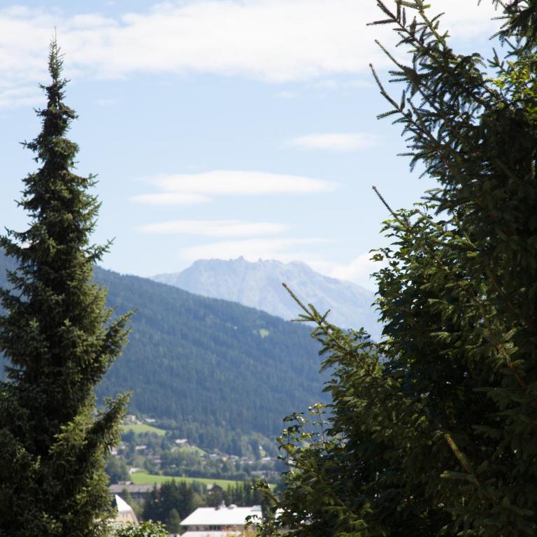 Apartmenthaus Kuchelberg - Appartement avec Vue sur la Montagne - 8