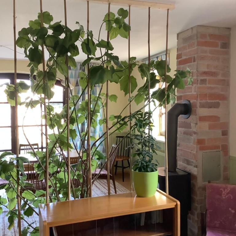 Rosenhof - Appartamento - 2
