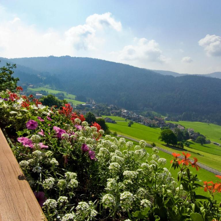 Wargerhof - Urlaub auf dem Bauernhof - Apartment mit 2 Schlafzimmern - 6