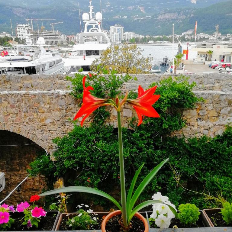 Guesthouse Bogdanovic - Apartman sa Pogledom na More - 9