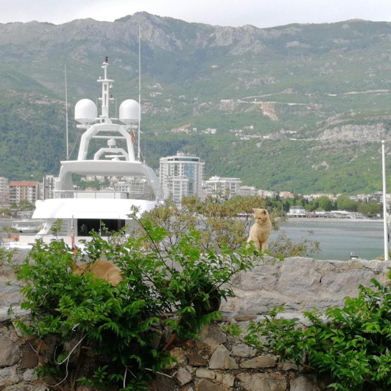 Guesthouse Bogdanovic - Apartman sa Pogledom na More - 26