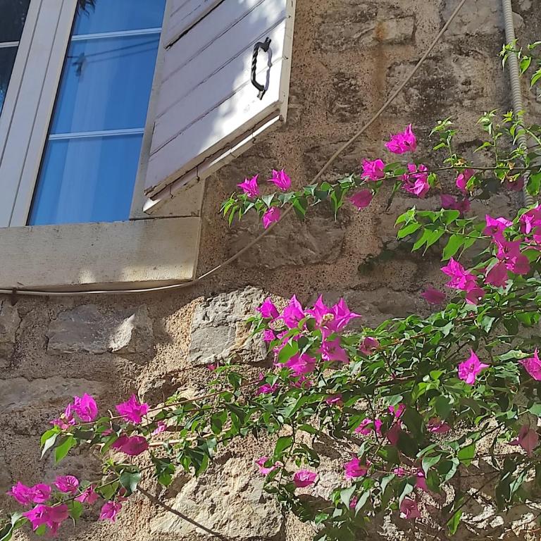 Guesthouse Bogdanovic - Dvokrevetna Soba sa Zasebnim Krevetima - 10