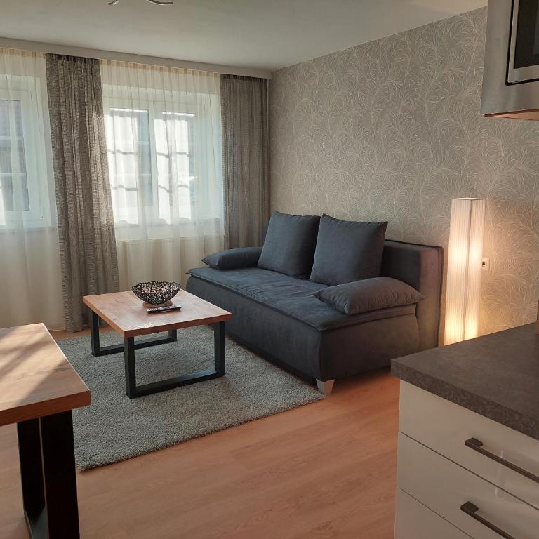 Glatz Haus Siegesbrunn - Apartamento con vistas al jardín - 4