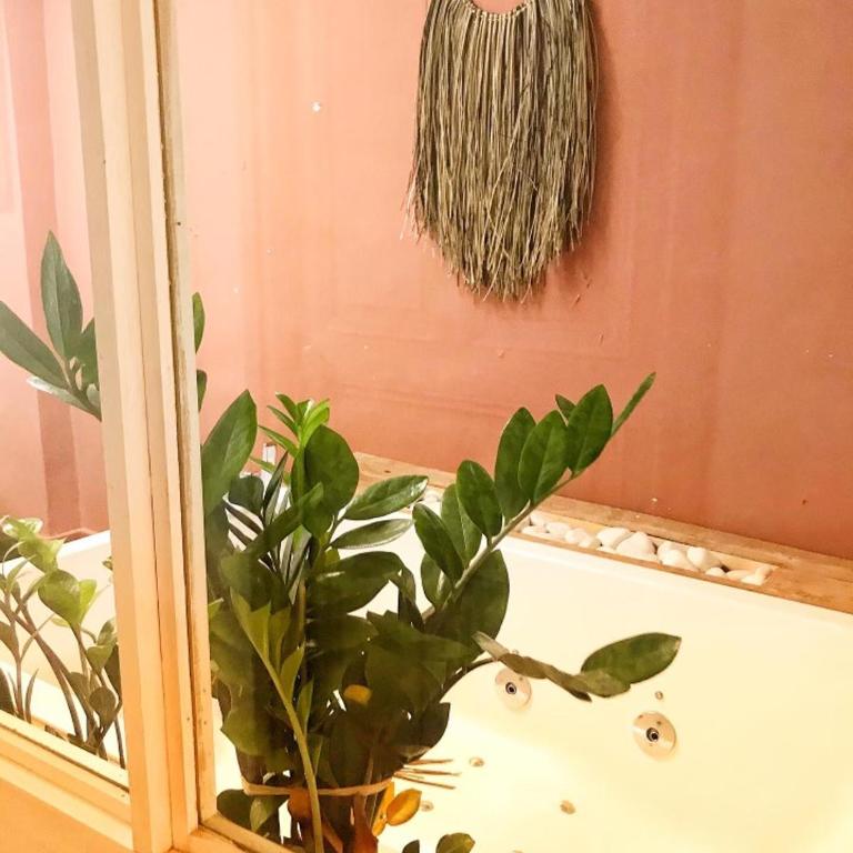 Atipyc Nimes - Apartamento Superior con jacuzzi - 29