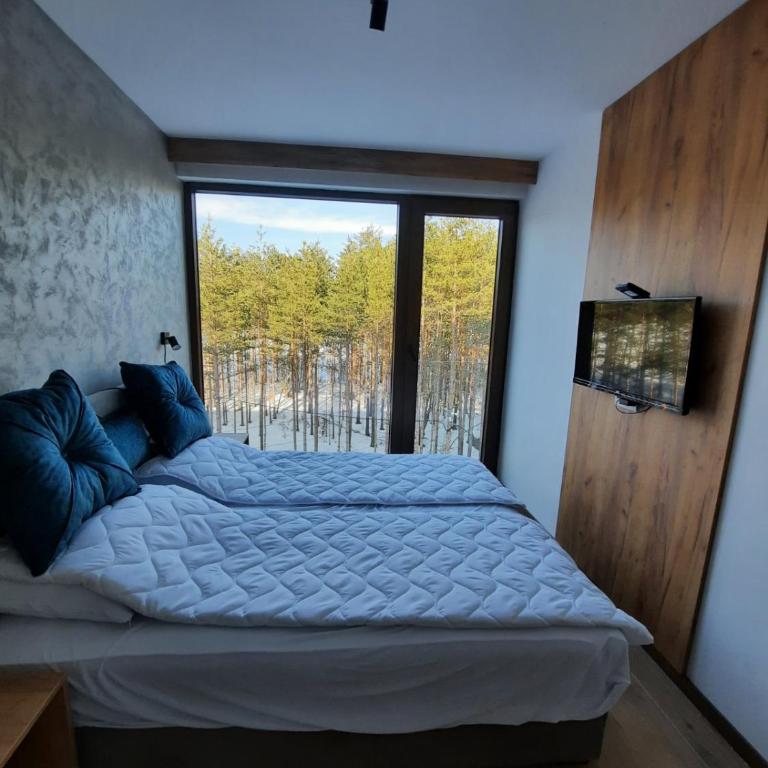 Apartman Milovanović - Apartman sa 1 Spavaćom Sobom - 2