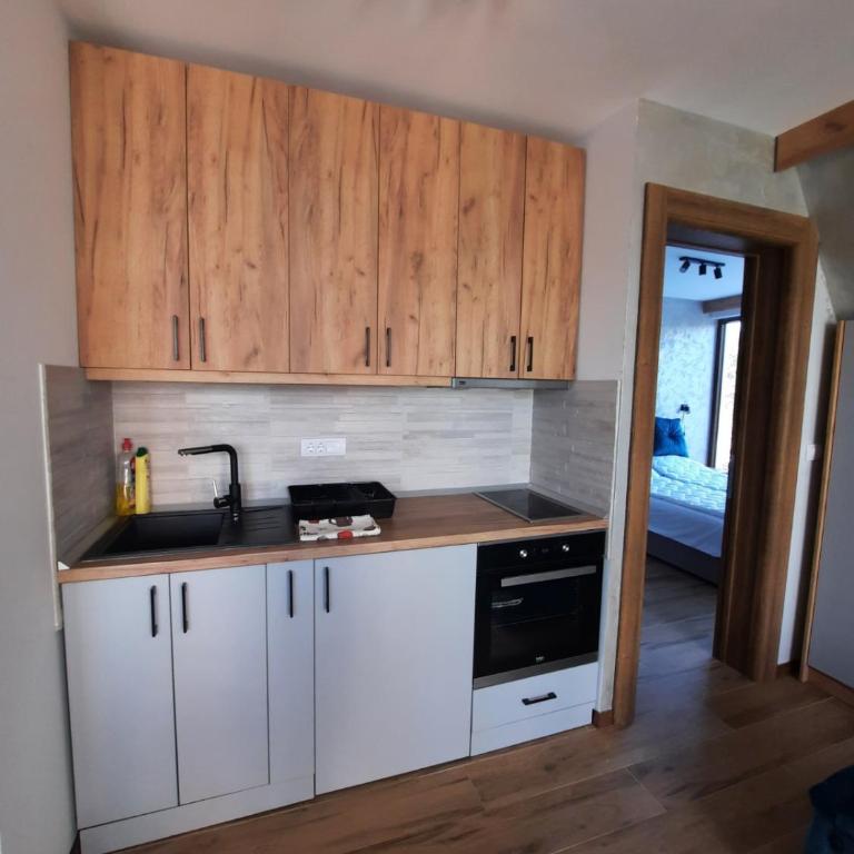 Apartman Milovanović - Apartman sa 1 Spavaćom Sobom - 10