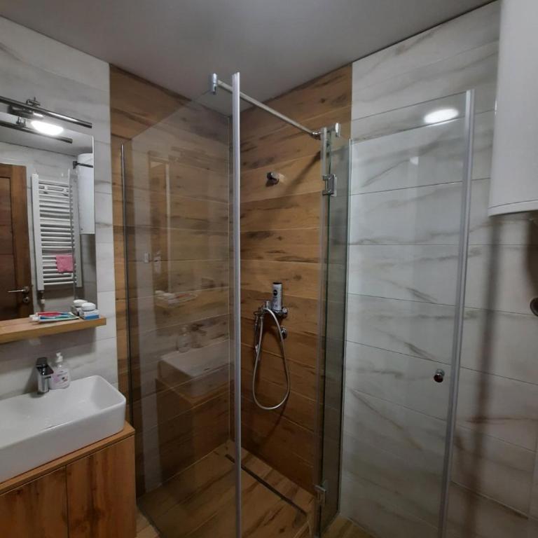 Apartman Milovanović - Apartman sa 1 Spavaćom Sobom - 12