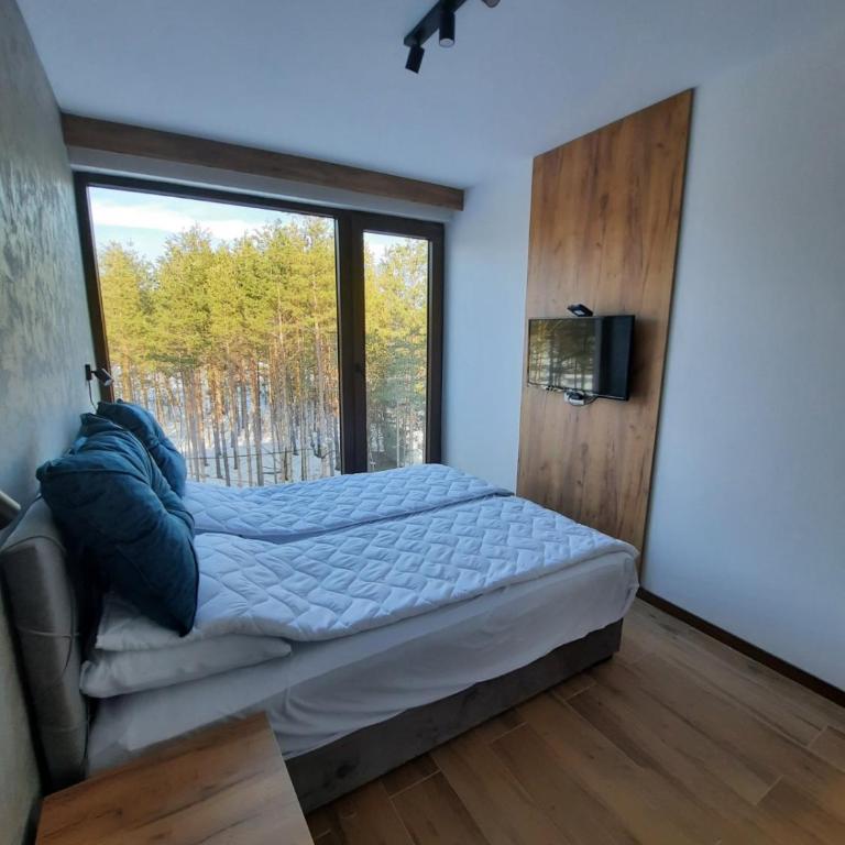 Apartman Milovanović - Apartman sa 1 Spavaćom Sobom - 4