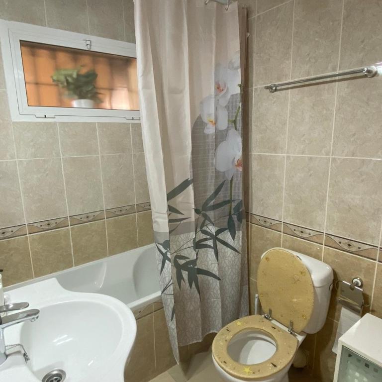 Studio Pinar - Apartamento de 1 dormitorio - 14