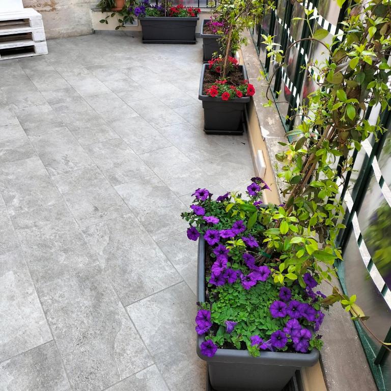 Casetta albalè - Appartement - Rez-de-Chaussée - 37