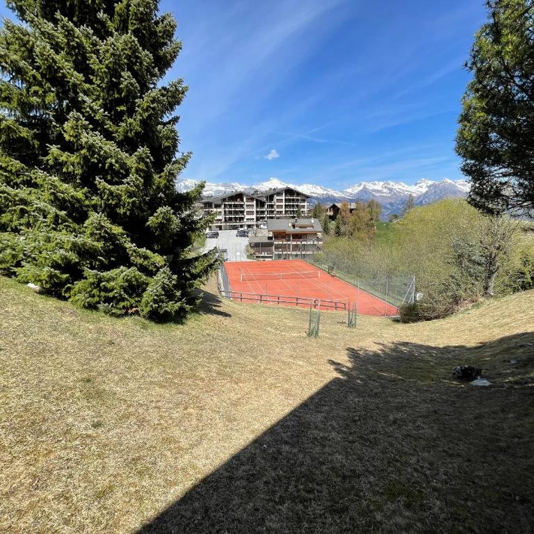 2,5 pièces à Haute-Nendaz, grande terrasse, piscine, sauna, tennis - Apartment mit 1 Schlafzimmer - 8