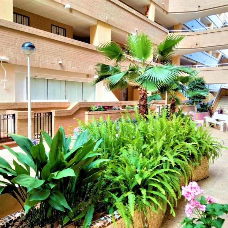 ACV - Costa Caribe II-2ª Linea Planta 4 Sur - Apartamento de 2 dormitorios - 22