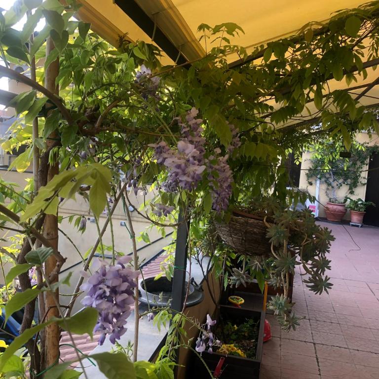 La Terrazza Appartamento turisctico Agata - Appartamento Premium con 3 Camere da Letto e Balcone - 3