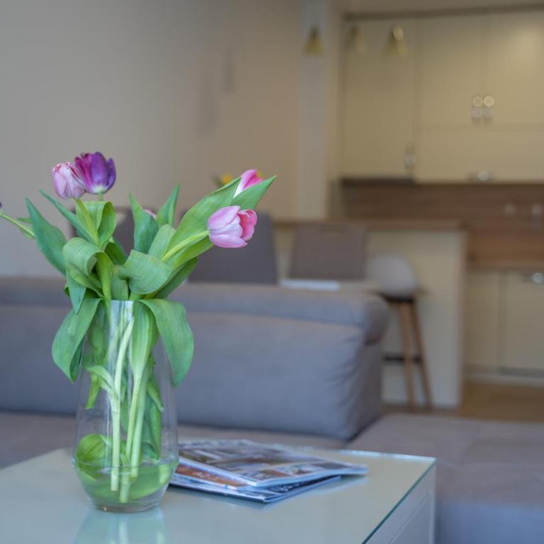 Andjela's Place with Sea View - One-Bedroom Apartment - 10
