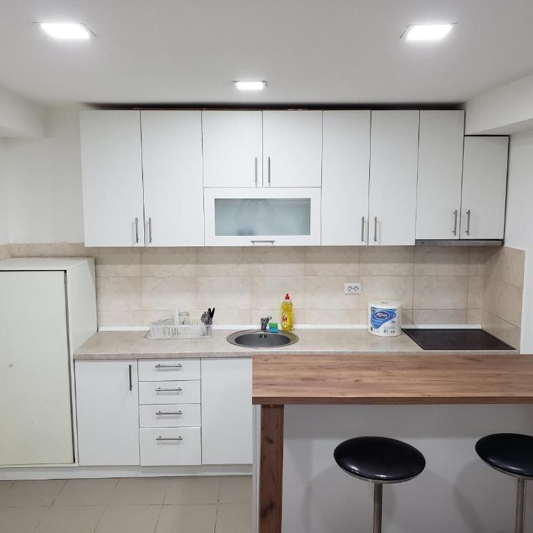 Apartmani Pajic - Apartman sa 1 Spavaćom Sobom - 4