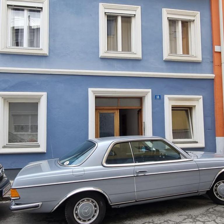 Innenstadtgarten-Wohnung - Apartment mit 1 Schlafzimmer - 35
