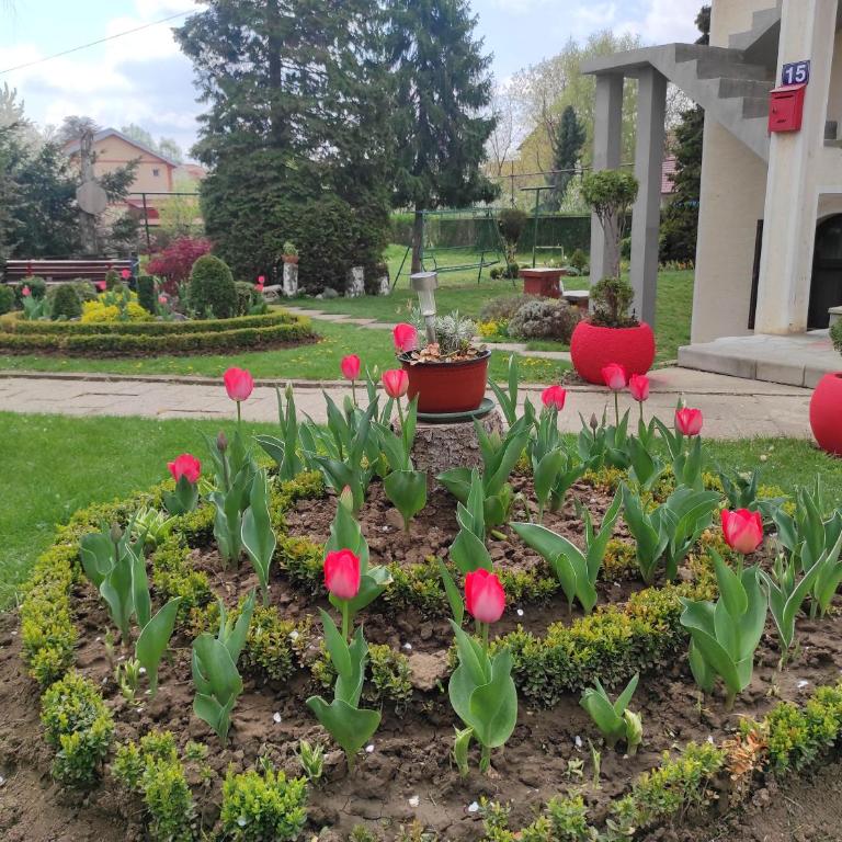 Andrea Airport Apartments - Apartman sa 2 Spavaće Sobe - 8