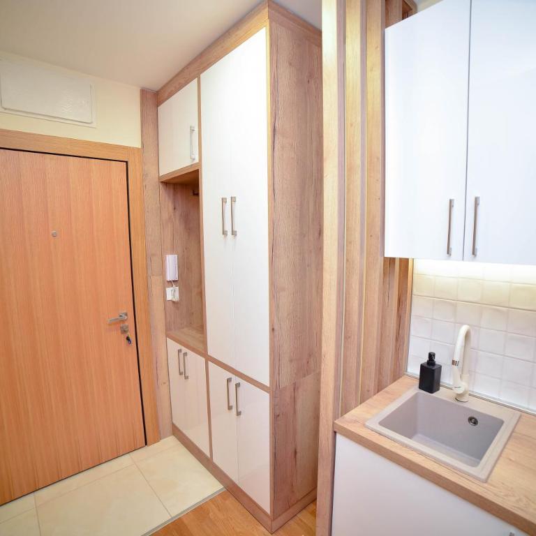 Studio Svedok - Apartman sa 1 Spavaćom Sobom - 3