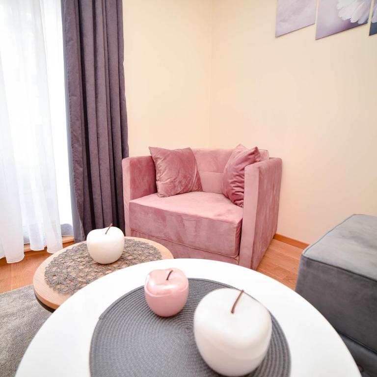 Studio Svedok - Apartman sa 1 Spavaćom Sobom - 28