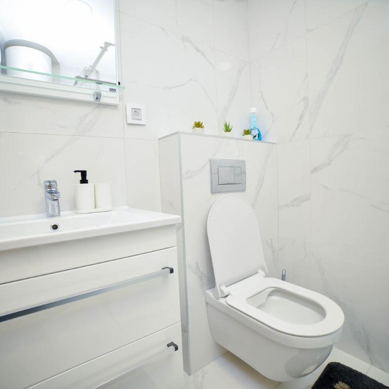 Studio Svedok - Apartman sa 1 Spavaćom Sobom - 44