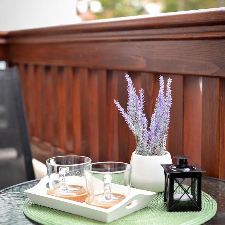 Studio Svedok - Apartman sa 1 Spavaćom Sobom - 38