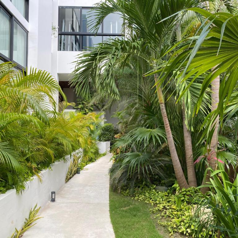 Departamento 2 recámaras Anah - Deluxe Apartment mit Balkon und 2 Schlafzimmern - 62