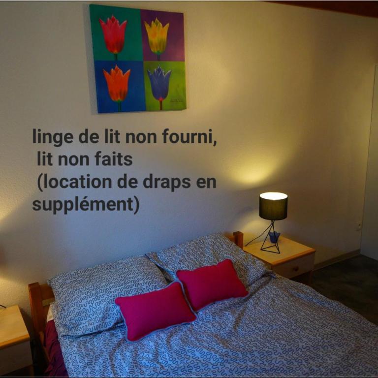 "Perle marines" maison sans vis à vis 200m plage 2 chambres climatisées Piscine dans la residence - Maison 2 Chambres - 14