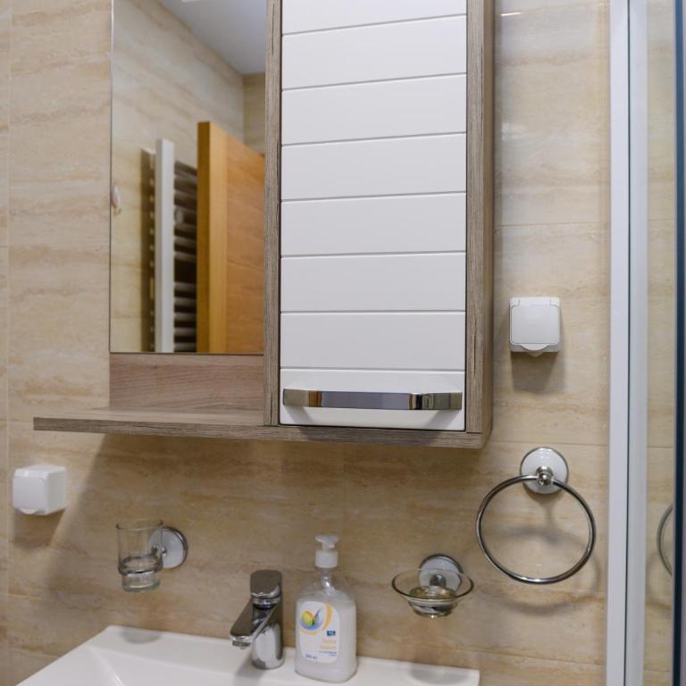 Apartman Saga Premium Garaza Parking Vauceri Ne - Apartman sa 1 Spavaćom Sobom - 20