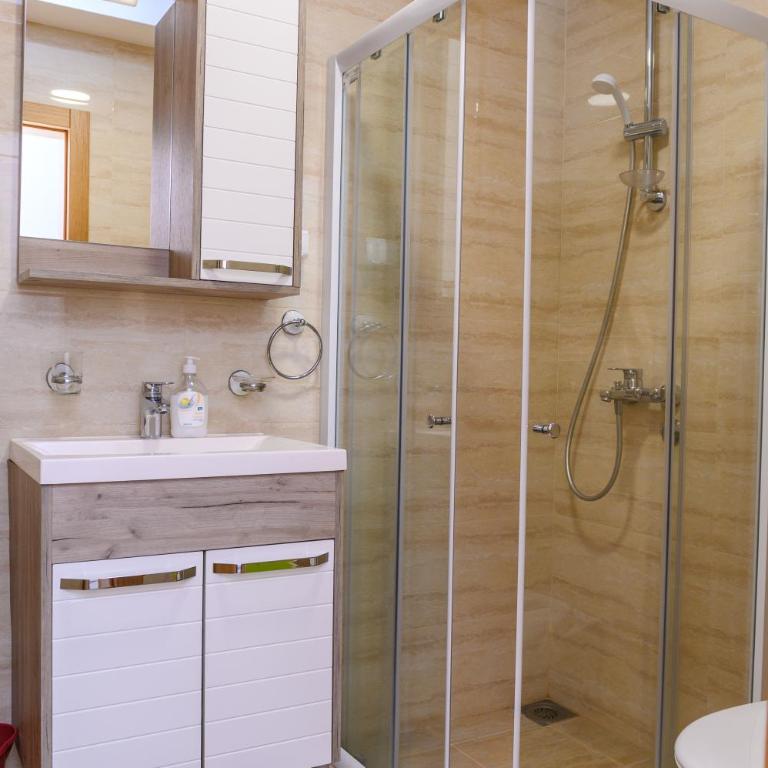 Apartman Saga Premium Garaza Parking Vauceri Ne - Apartman sa 1 Spavaćom Sobom - 10