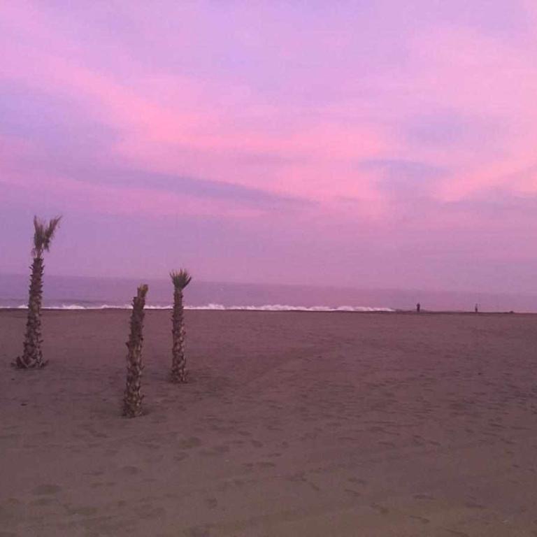 Chicflat San Roque Estepona. Reformado en 2025 - Apartamento de 2 dormitorios - 35