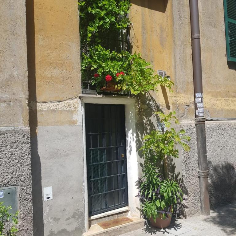 Ave Cesare - Appartamentino su 2 Livelli - 5