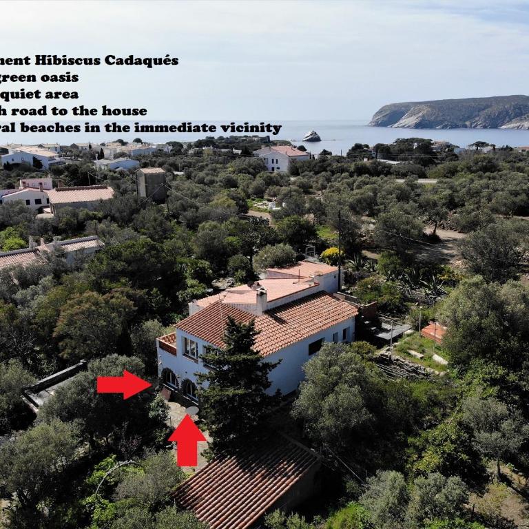 Apartment Hibiscus Cadaqués - Apartamento de 1 dormitorio - 1