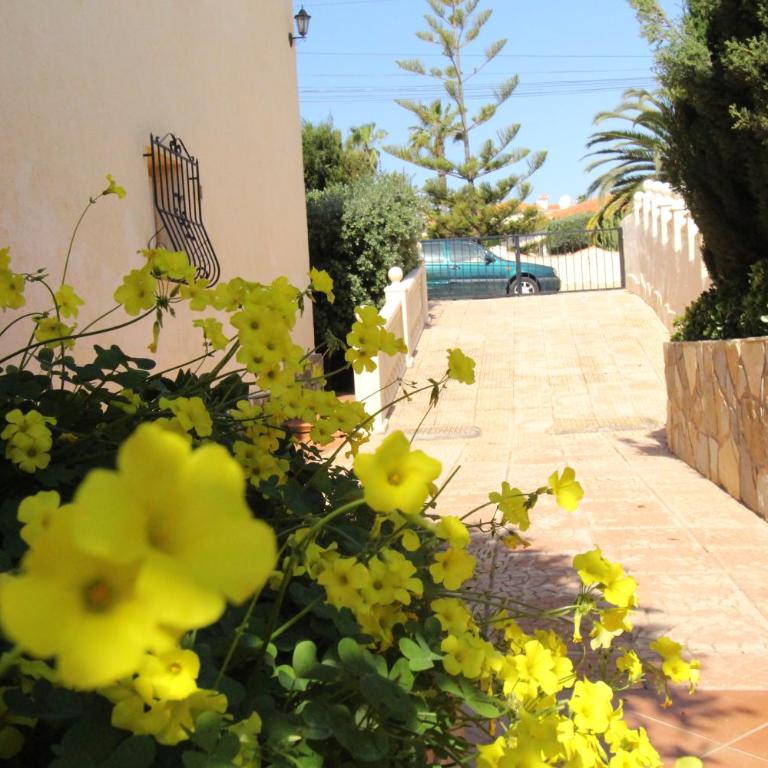 Casa Luna Llena - Villa Superior - 14