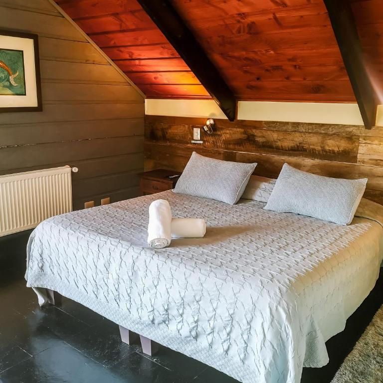 Newen B&B - Suite Deluxe con bañera de hidromasaje - 2
