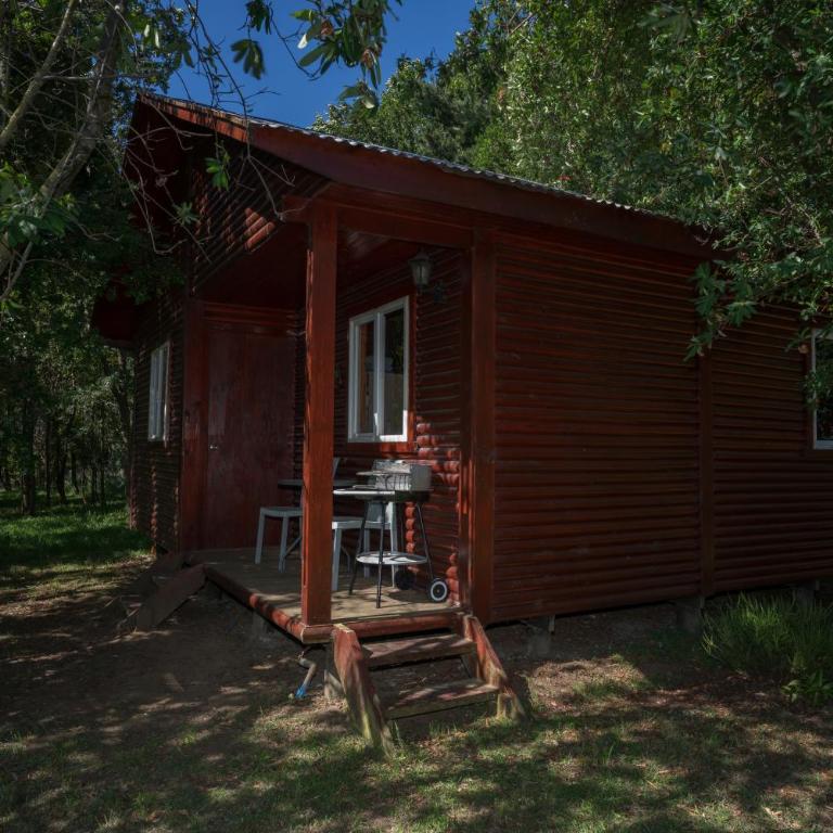 Bordemundo B&B y Cabañas - Bungalow de 2 dormitorios con vistas al bosque - 9