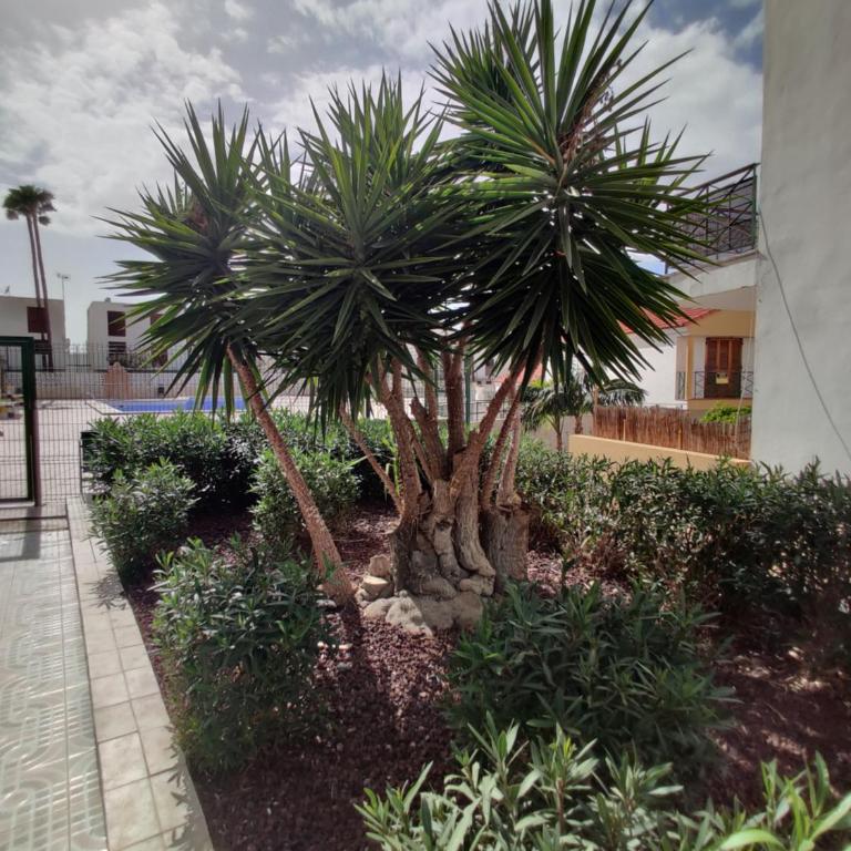 Apartment Soleil Altamar - Apartamento de 2 dormitorios - 32