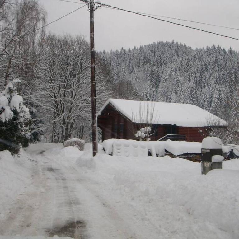 Appartement "L'HORIZON" meublé dans chalet, proche lac au calme - Appartement 1 Chambre - 10