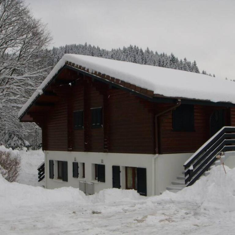Appartement "L'HORIZON" meublé dans chalet, proche lac au calme - Appartement 1 Chambre - 11