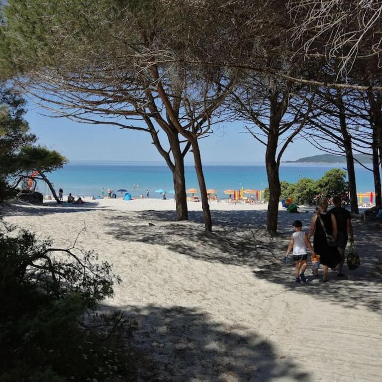 Palau del Corso (IUN P8166) - Appartamento con 2 Camere da Letto - 42