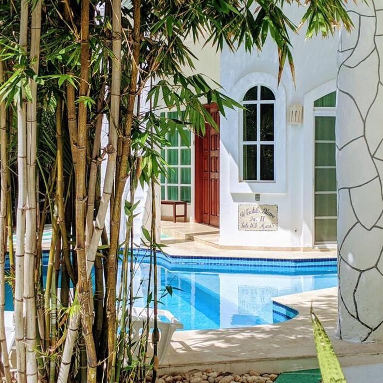 9br 6ba Large groups! Best location in town Walk to beach, 5th ave Cozumel ferry, shopping, nightlife! Roof plunge pool!! Castillo Playacar Fase 1 25max - Vacation Home - 7