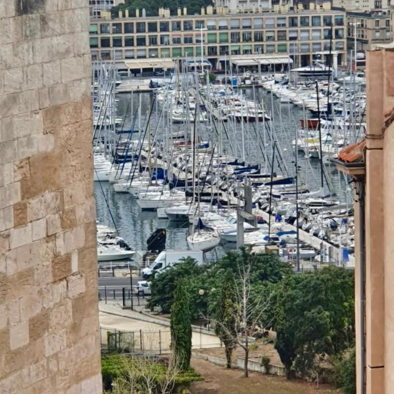 Luxe calme et volupté avec vue panoramique sur le vieux port - Appartement 1 Chambre - 10