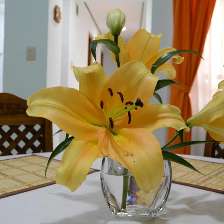 Hermoso departamento confortable y estratégico - Apartamento de 2 dormitorios - 18