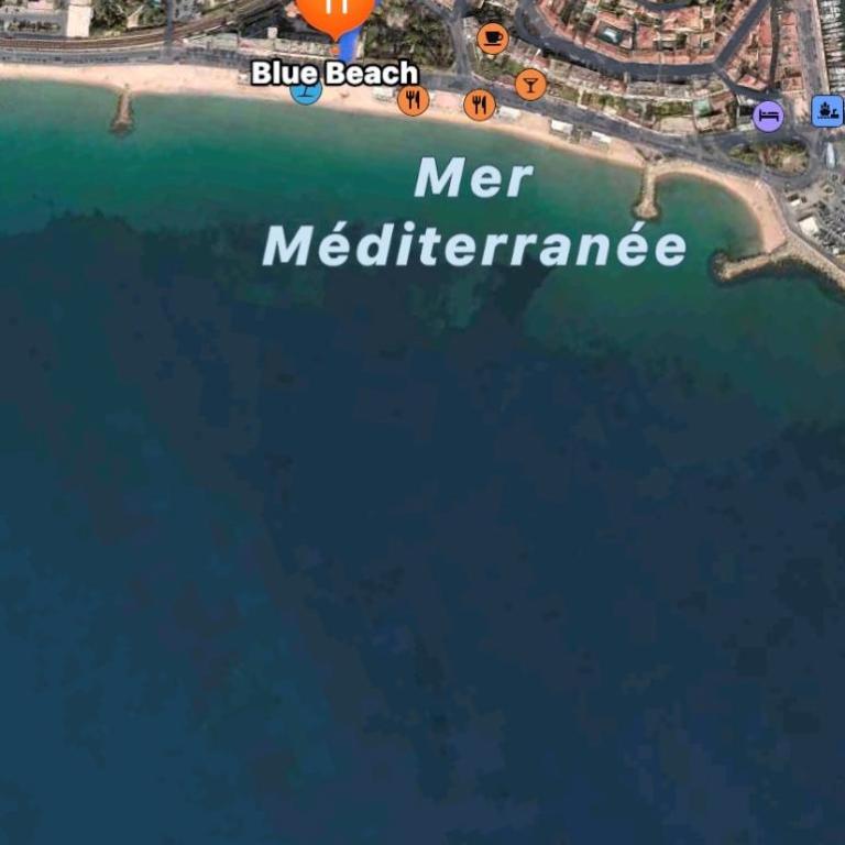 Luxurious Studio in Cannes 450m from sea with Terrace and Air Conditioning and private Parking - Appartement 1 Chambre - 59