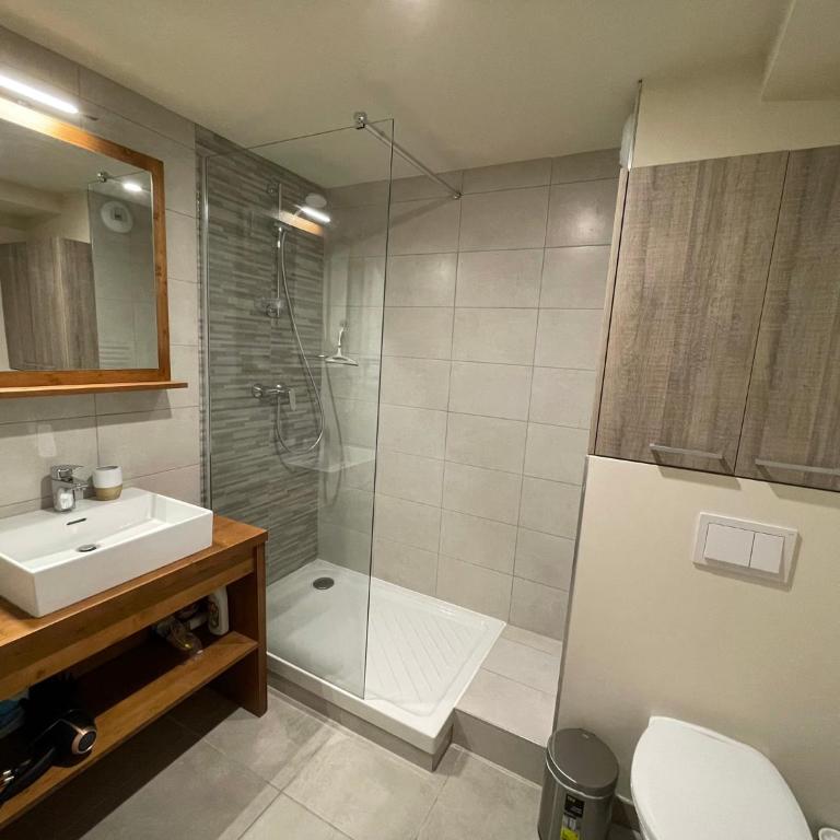 ARC 1800 Appartement 6-8 pers,5 cristaux, avec garage - Appartement 2 Chambres - 11