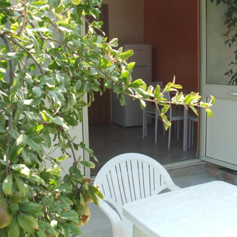Residence Cuba alloggi per turismo - Apartment mit 1 Schlafzimmer - 4
