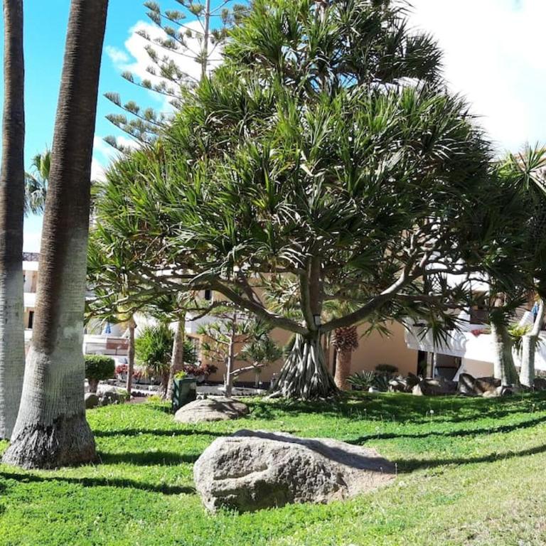 Apartment with pool and gardens near the coast - Apartamento de 1 dormitorio - 14